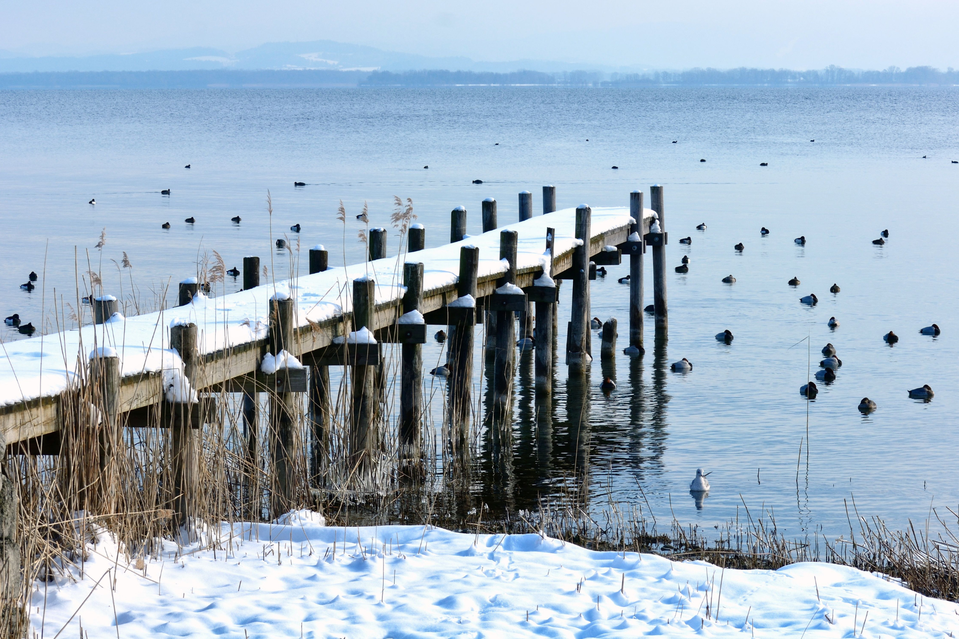 Winter-Wohlfühlzeit 4=3 & 7=5